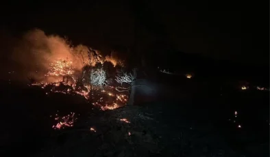 Hatay’da Orman Yangını: 5 Hektar Zarar Gördü